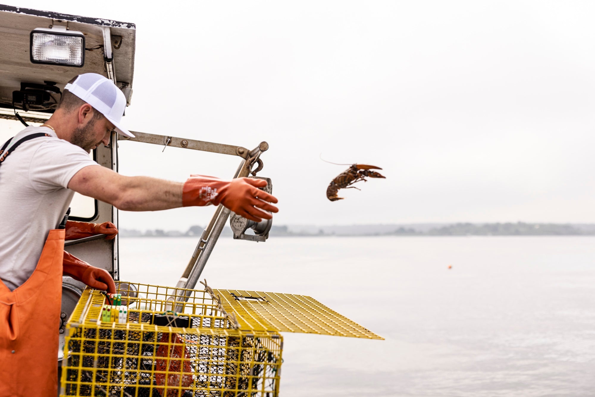The Art of Maine Lobster: A Tradition of Sustainability and Excellence