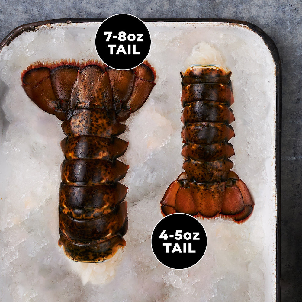 : This image shows both of the 7-8 oz & 4-5 oz Lobster tail options laid on top of a tray of ice cubes. Both tails are labeled with the appropriate tag, On the left there is a black circle that reads “7-8 oz Tail” and on the bottom right the black circle tag reads “4-5 oz Tail”.