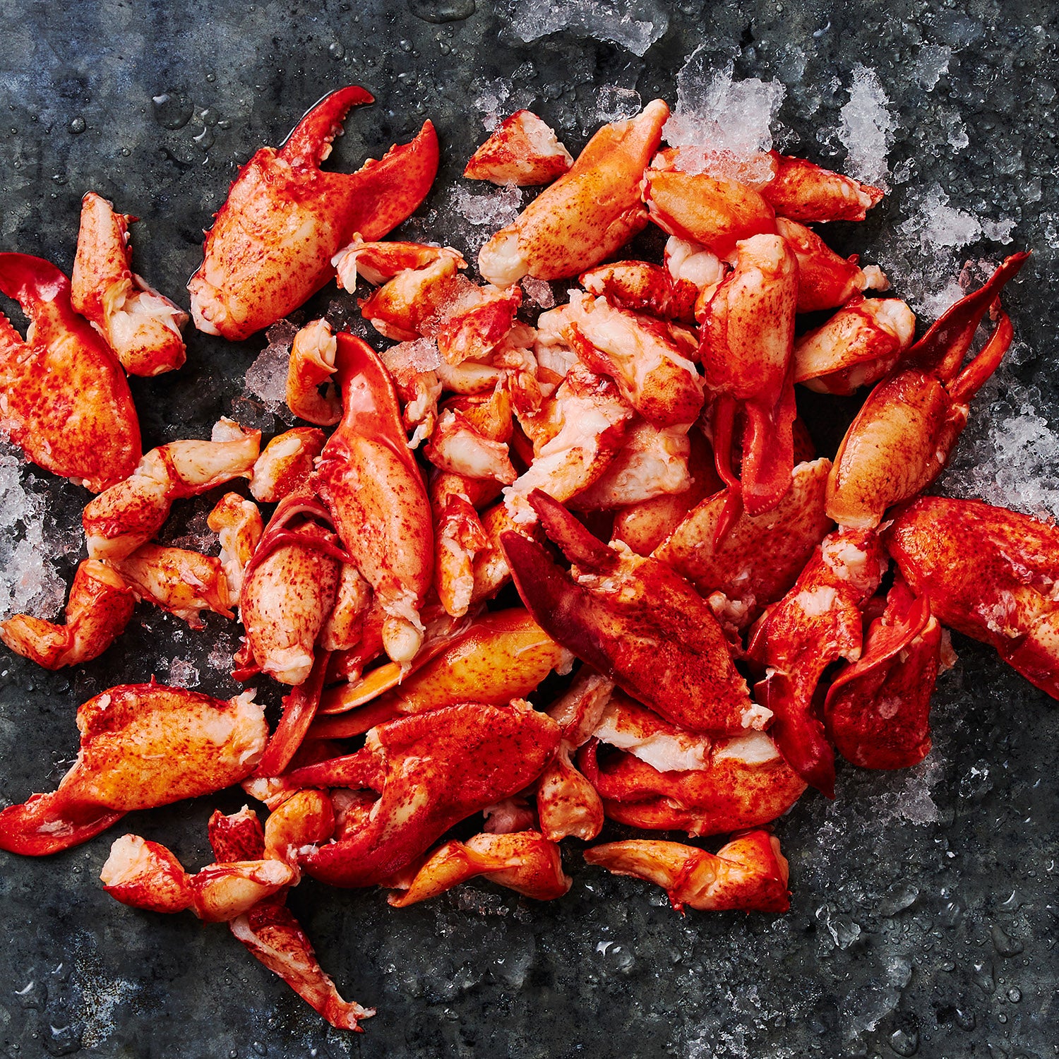 This photograph shows a pile of Beautiful Maine lobster Meat on top a bed of ice
